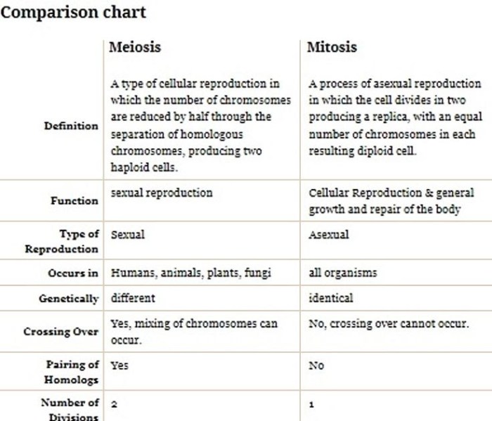 Practice haploid v. diploid answer key