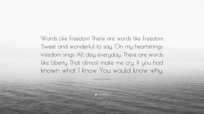 Words like freedom langston hughes