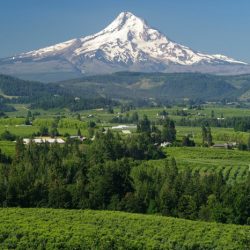 Mt rainier helens st size