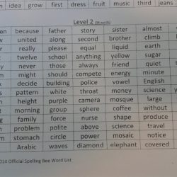 Spelling bee for 9th graders