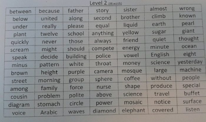 Spelling bee for 9th graders