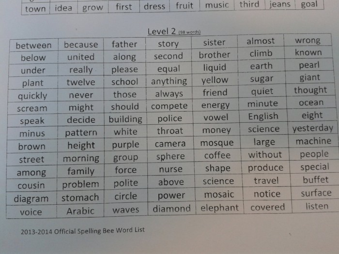 Spelling bee for 9th graders