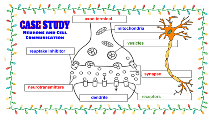 Pogil cell communication answer key