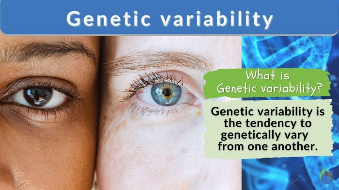 Genetic variation from errors quick check