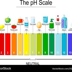 Indicator universal ph paper indicators urine dog acid base tape color formula chemistry test solution used