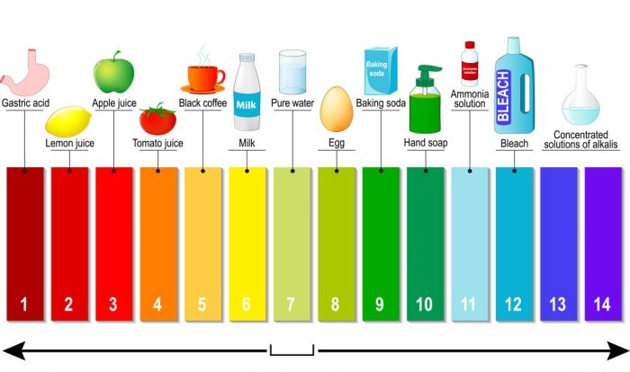 Indicator universal ph paper indicators urine dog acid base tape color formula chemistry test solution used