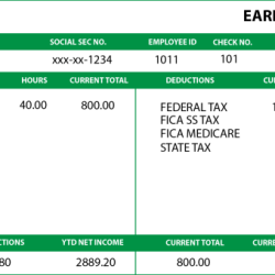 Reading a pay stub worksheet answers