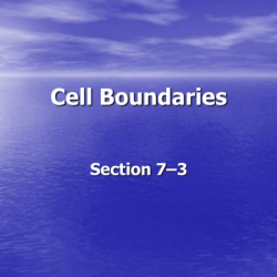 Section 7-3 cell boundaries pages 182-189 answer key