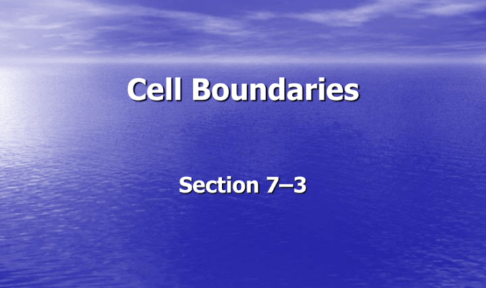 Section 7-3 cell boundaries pages 182-189 answer key