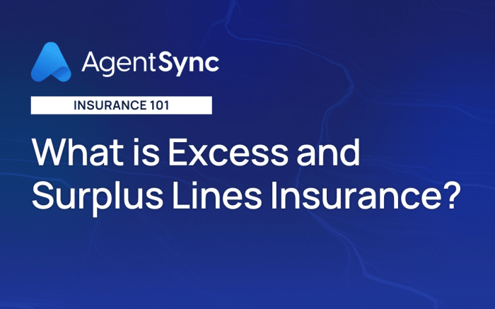 Excess line insurance must be countersigned by