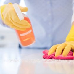 Module 5 environmental cleaning and disinfecting answers